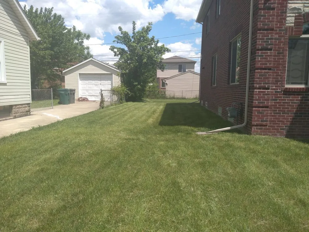 Professional landscape installation in Detroit, MI - Freshly Made Cuts