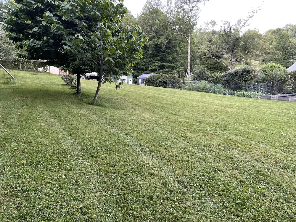 Reliable yard cleanup service in West Jefferson, NC - FreshMow Lawn Services