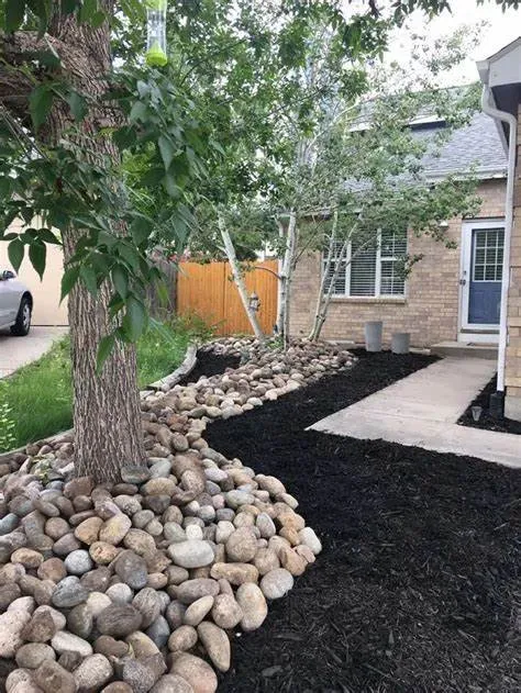 Affordable landscape design in Laredo, TX by Freshroots Landscaping