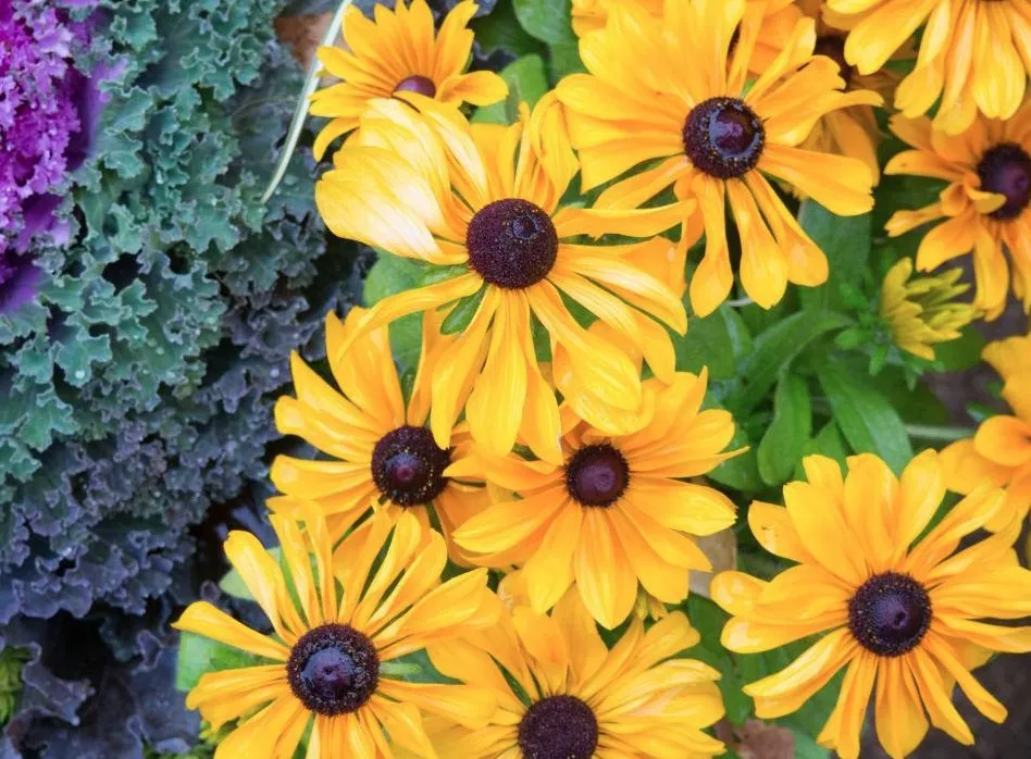 Affordable landscape design for year-round maintenance across Salem, OR - Freshscape Creations Landscaping