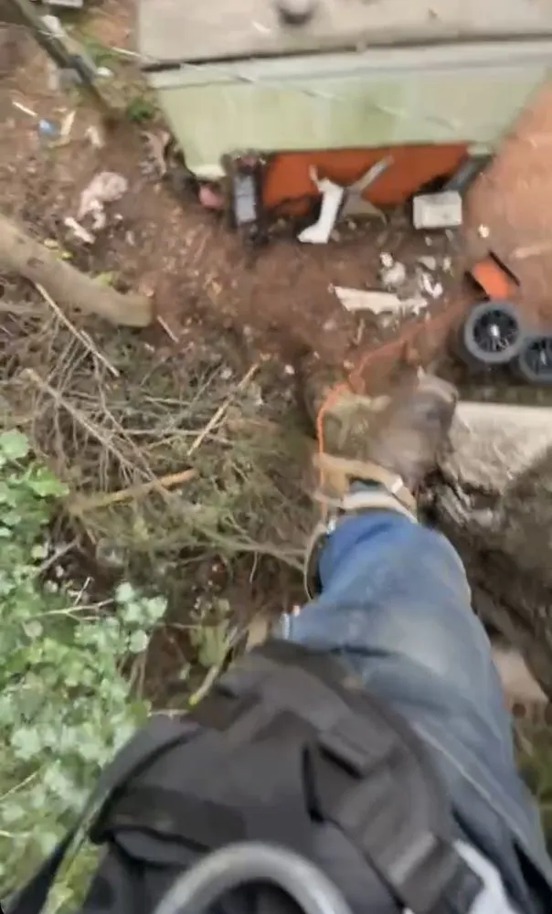 Affordable lawn mowing service experts serving Cullowhee, NC - Freshscape Lawn Care and Tree Service