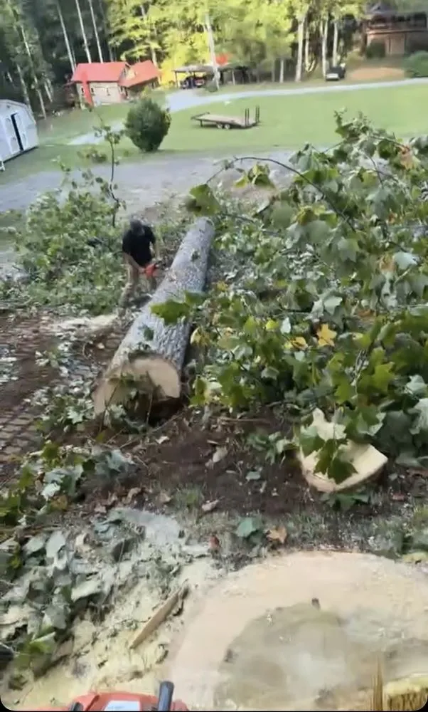 Reliable garden landscaping in Cullowhee, NC - Freshscape Lawn Care and Tree Service