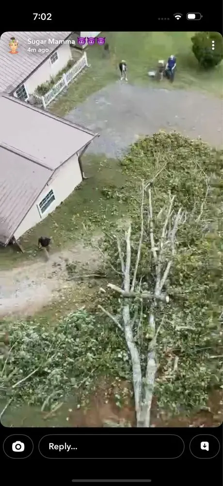 Affordable lawn care service in Cullowhee, NC - Freshscape Lawn Care and Tree Service