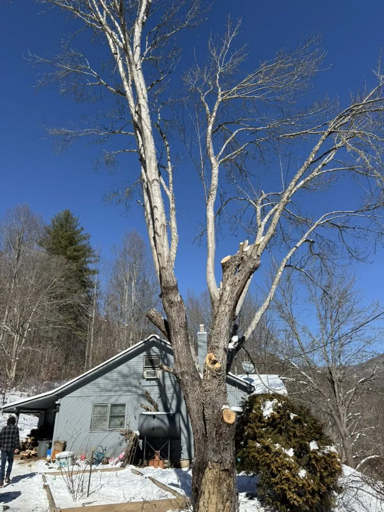 Expert residential landscaping in Cullowhee, NC - Freshscape Lawn Care and Tree Service