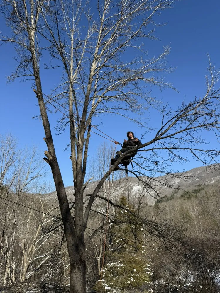 Expert landscape design near you in Cullowhee, NC by Freshscape Lawn Care and Tree Service