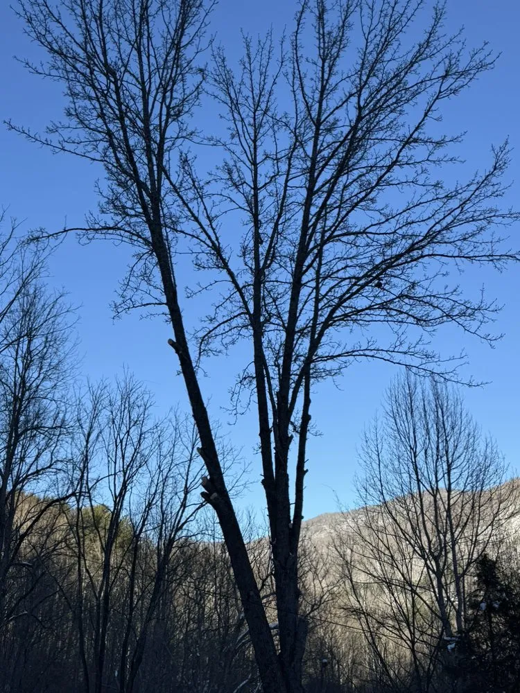 Custom residential landscaping experts serving Cullowhee, NC - Freshscape Lawn Care and Tree Service