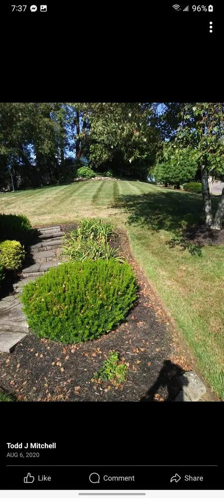 Affordable landscape design for outdoor upgrades in Alliance, OH by FreshStart HedgeCuts
