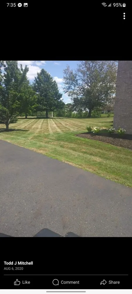 Expert yard cleanup service with custom design across Alliance, OH - FreshStart HedgeCuts