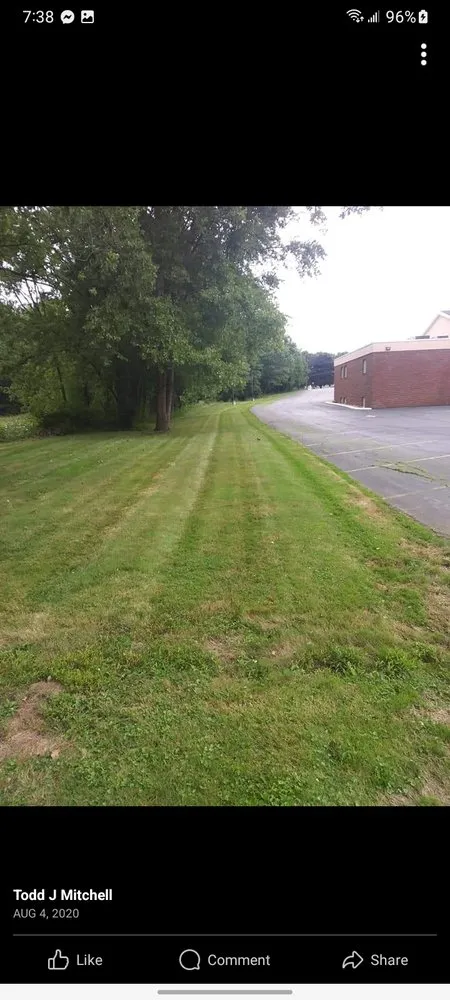 Local yard cleanup service in Alliance, OH by FreshStart HedgeCuts