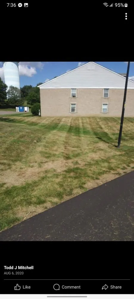 Reliable landscape design experts serving Alliance, OH - FreshStart HedgeCuts