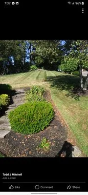 FreshStart HedgeCuts Logo