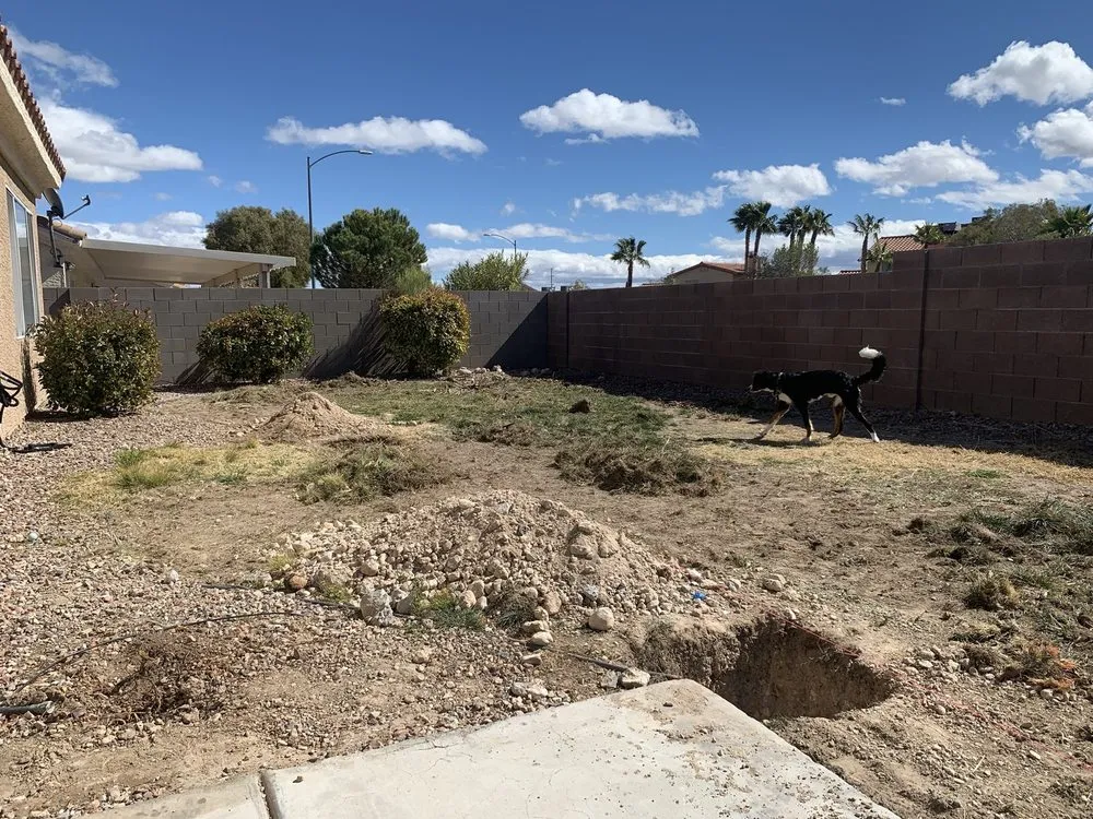 Trusted landscaping services in Las Vegas, NV - FreshStart Landscaping