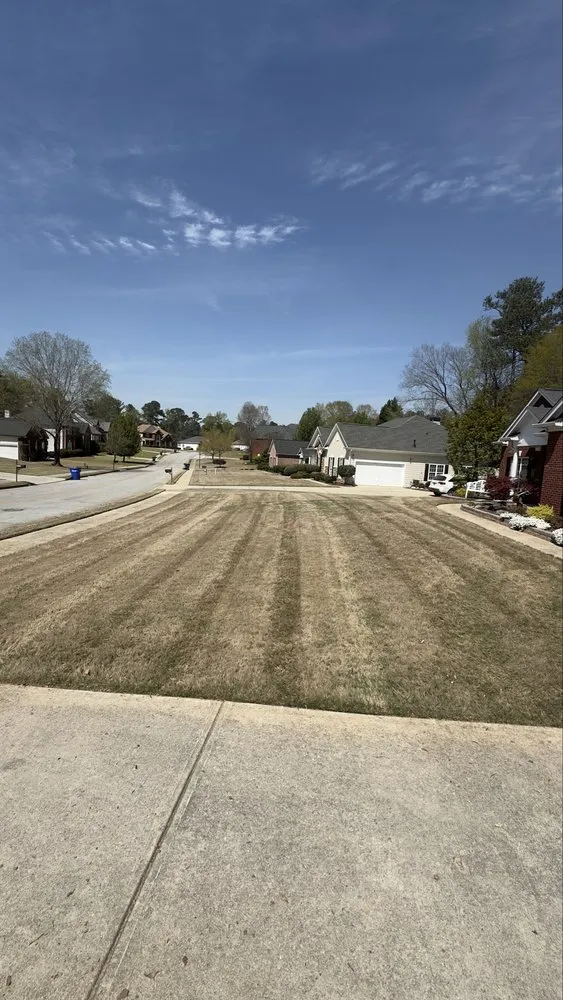 Expert landscape installation experts serving Covington, GA - FreshView Landscaping