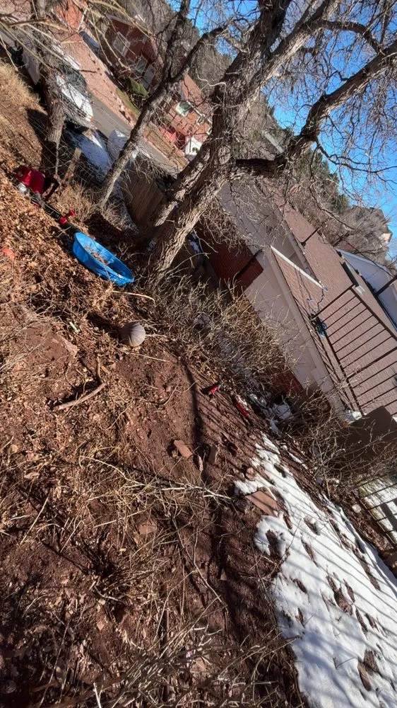 Local landscape design in Colorado Springs, CO by Freshwater Landscape