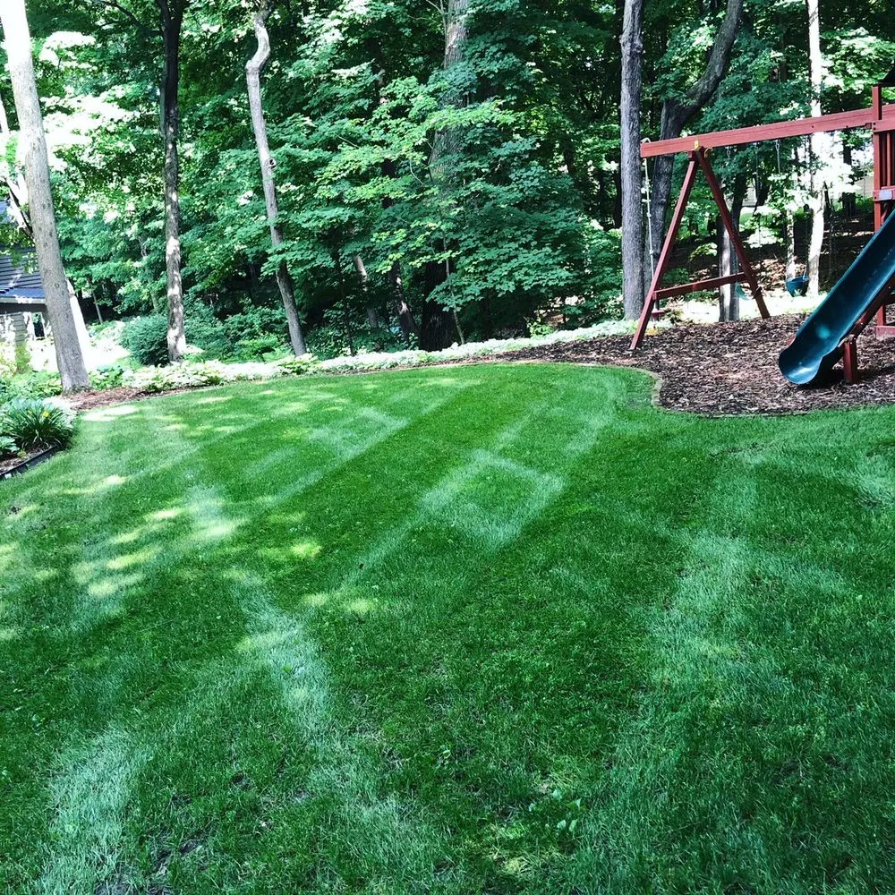 Reliable yard cleanup service in Wayzata, MN by Freshwater Landscaping