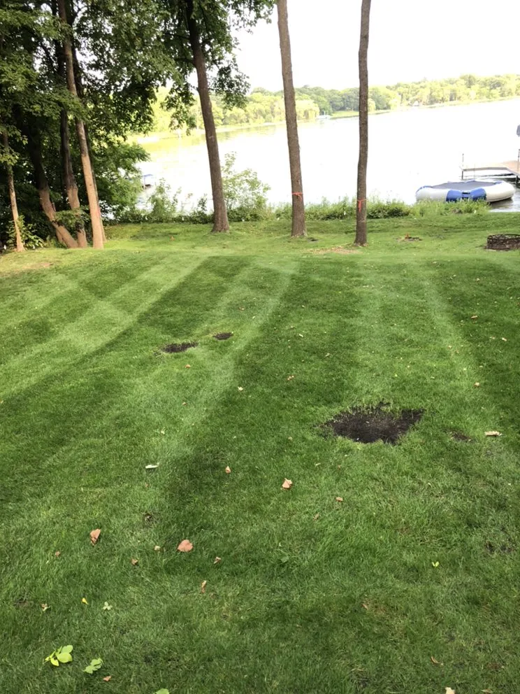 Professional residential landscaping in Wayzata, MN by Freshwater Landscaping