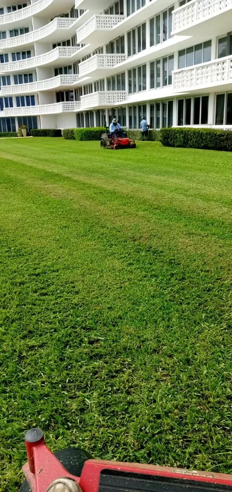 Local landscape design experts serving Delray Beach, FL - Fresnel’s Landscaping Services