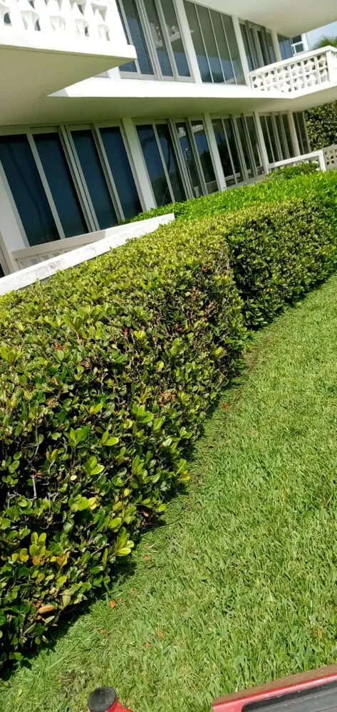 Local lawn mowing service in Delray Beach, FL - Fresnel’s Landscaping Services