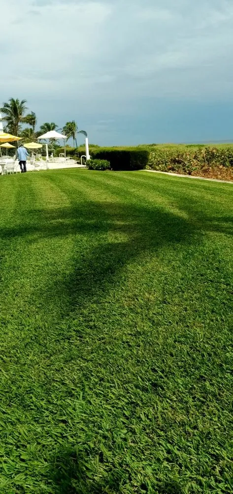 Top-rated lawn care service for residential properties across Delray Beach, FL - Fresnel’s Landscaping Services