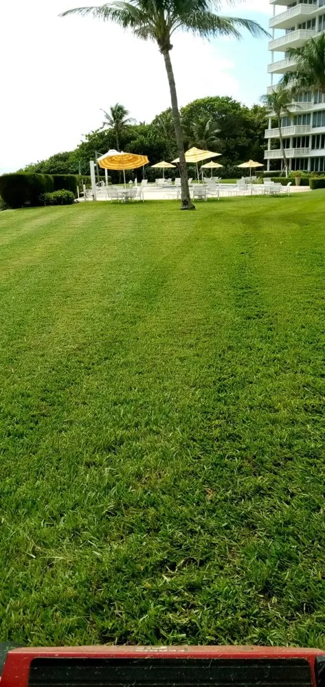 Top-rated lawn mowing service in Delray Beach, FL - Fresnel’s Landscaping Services