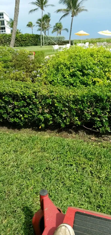 Trusted yard cleanup service in Delray Beach, FL by Fresnel’s Landscaping Services
