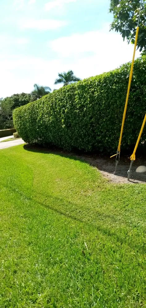 Professional yard cleanup service in Delray Beach, FL by Fresnel’s Landscaping Services