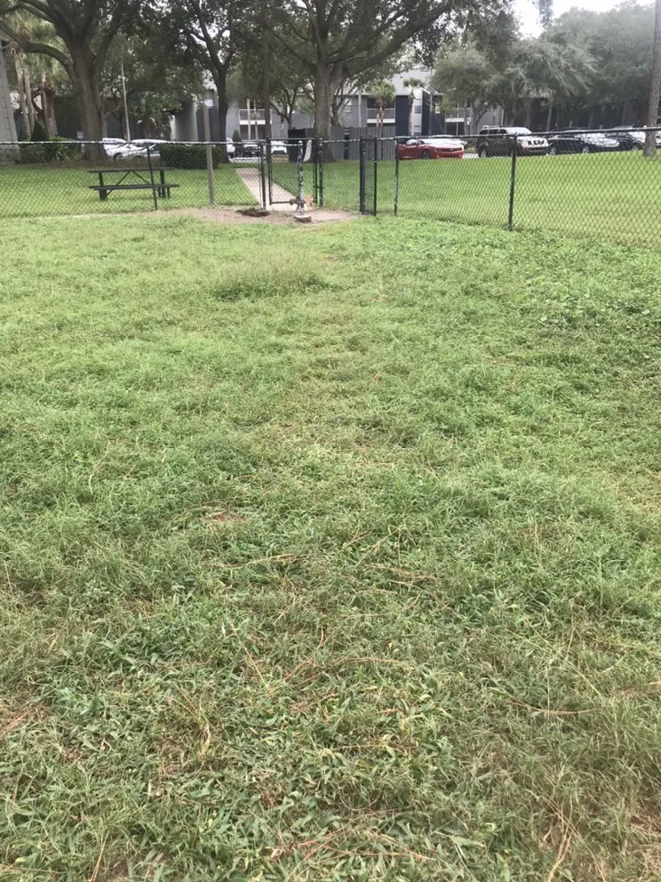 Top-rated residential landscaping experts serving Delray Beach, FL - Fresnel’s Landscaping Services