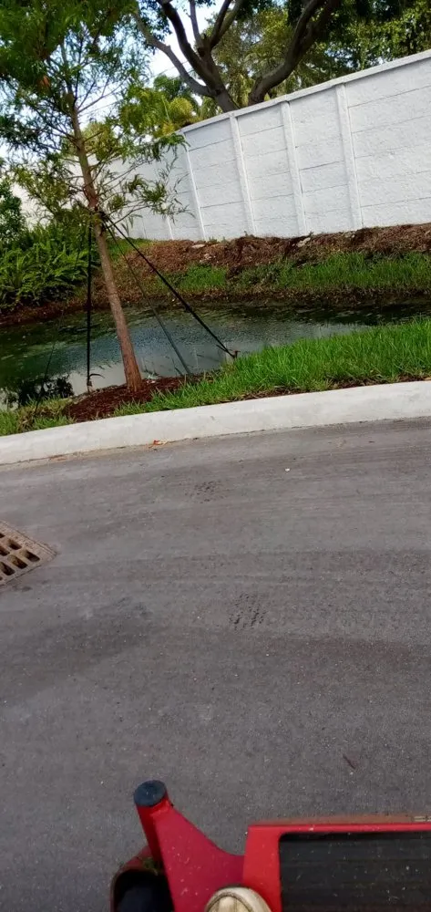 Expert lawn care service in Delray Beach, FL - Fresnel’s Landscaping Services