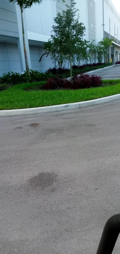 Trusted landscape installation in Delray Beach, FL - Fresnel’s Landscaping Services