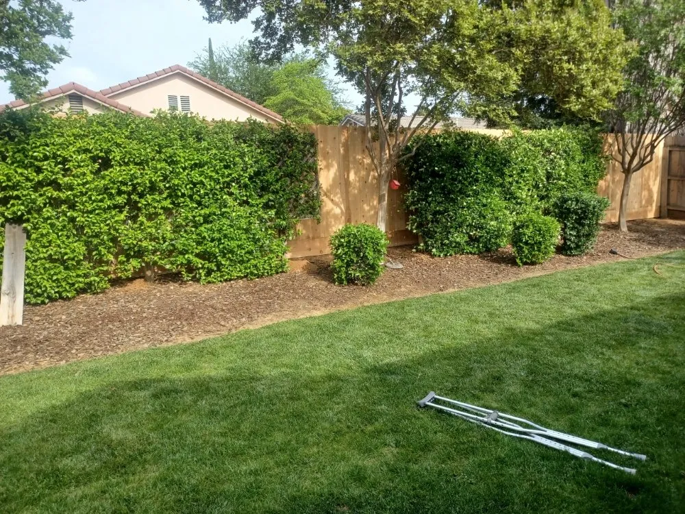 Custom lawn mowing service for beautiful yards in Fresno, CA by Fresno Gardener