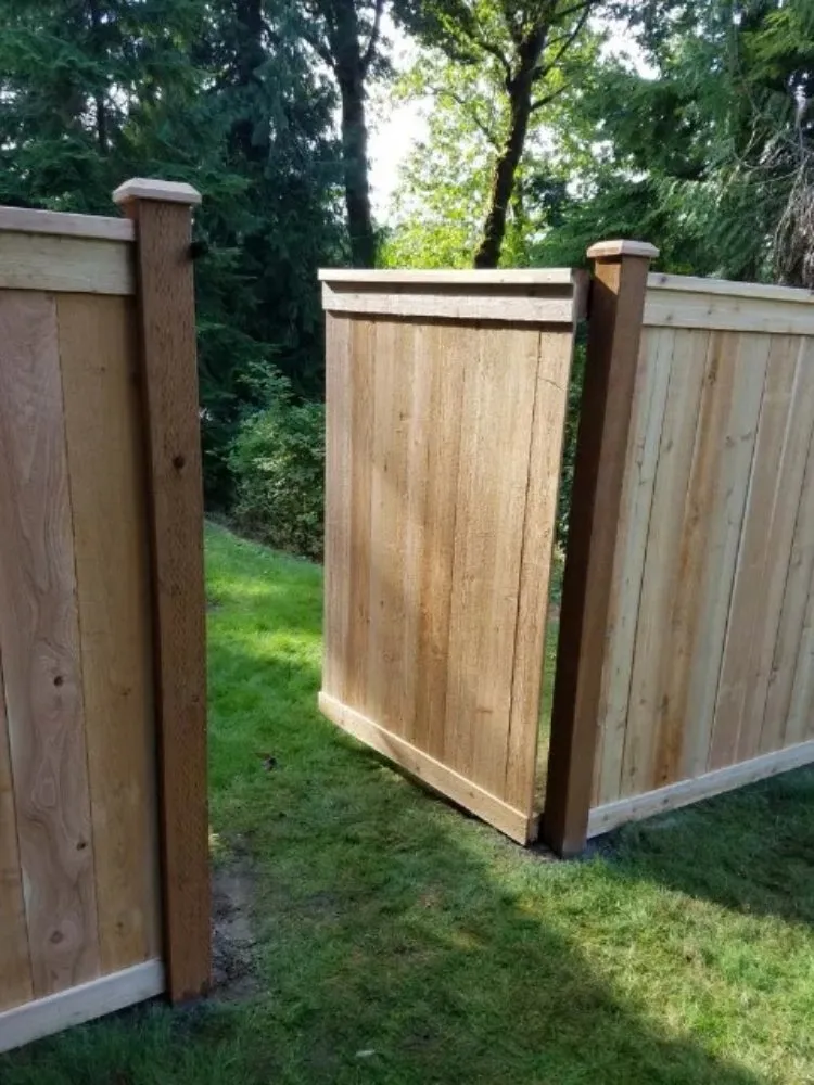 Affordable landscaping services in Fresno, CA - Fresno Gardener