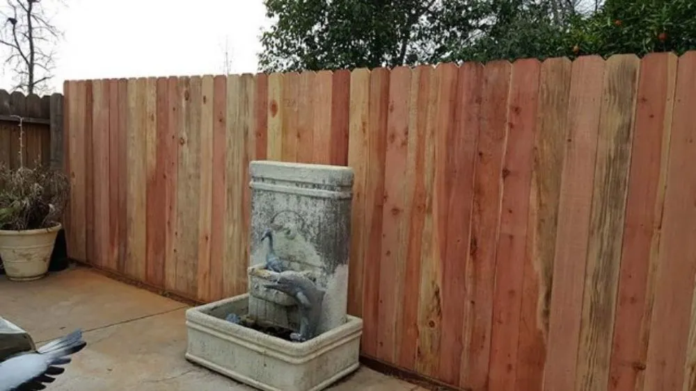 Top-rated landscape installation in Fresno, CA by Fresno Gardener