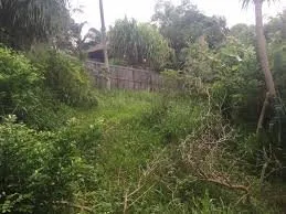 Local landscape installation in Fresno, CA - Fresno Yard Cleanup