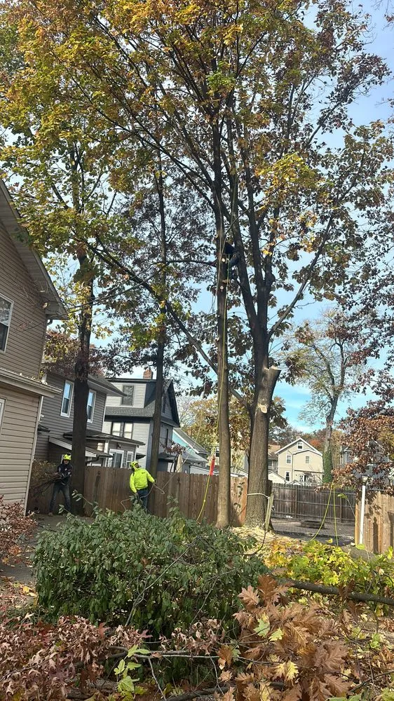 Affordable residential landscaping in New Brunswick, NJ by Fresnos Landscaping & Tree Service