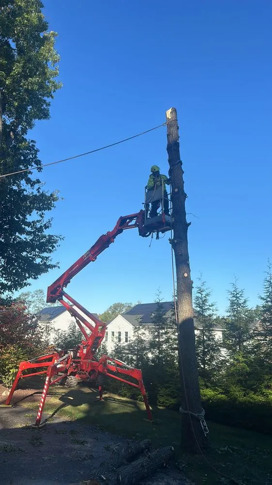 Trusted landscaping services experts serving New Brunswick, NJ - Fresnos Landscaping & Tree Service