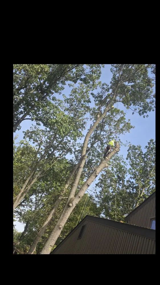 Professional landscaping services in New Brunswick, NJ - Fresnos Landscaping & Tree Service