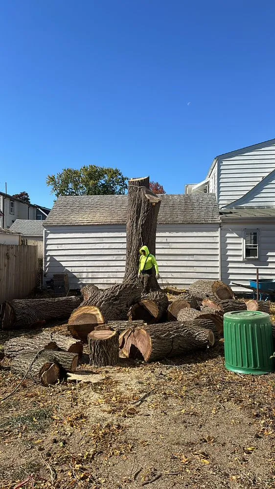 Professional yard maintenance experts serving New Brunswick, NJ - Fresnos Landscaping & Tree Service