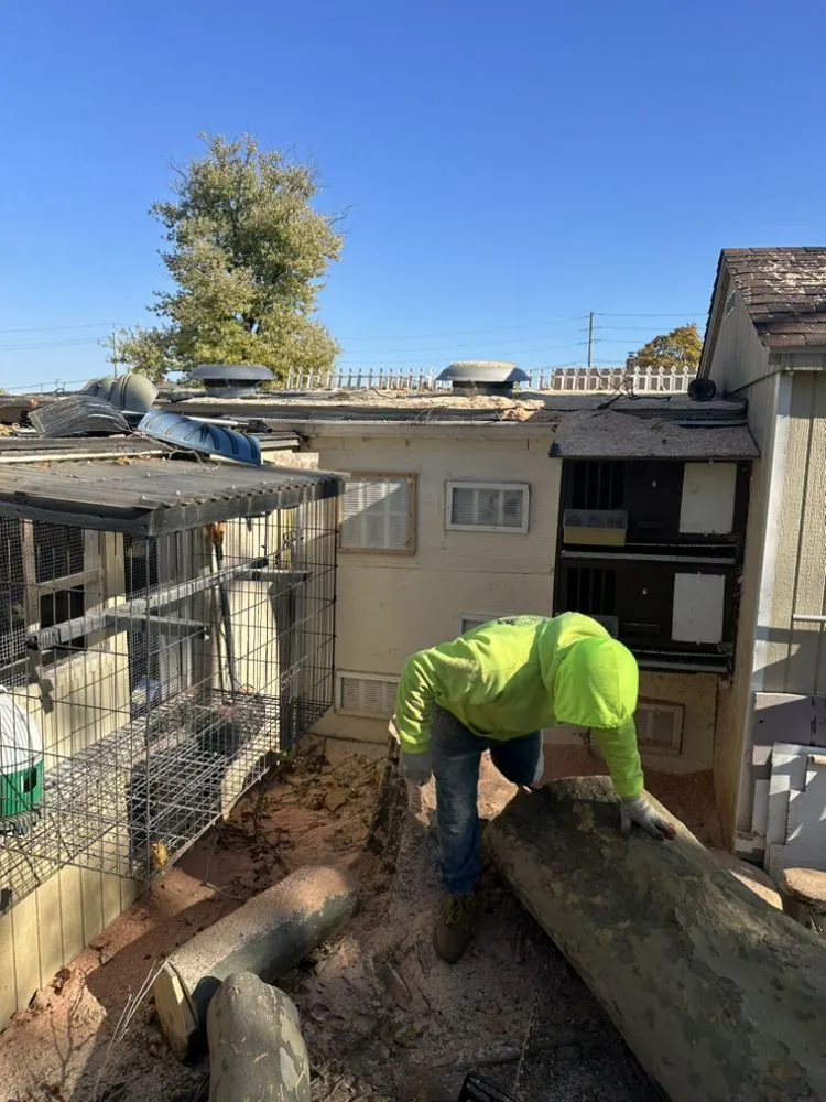 Custom landscape installation in New Brunswick, NJ by Fresnos Landscaping & Tree Service