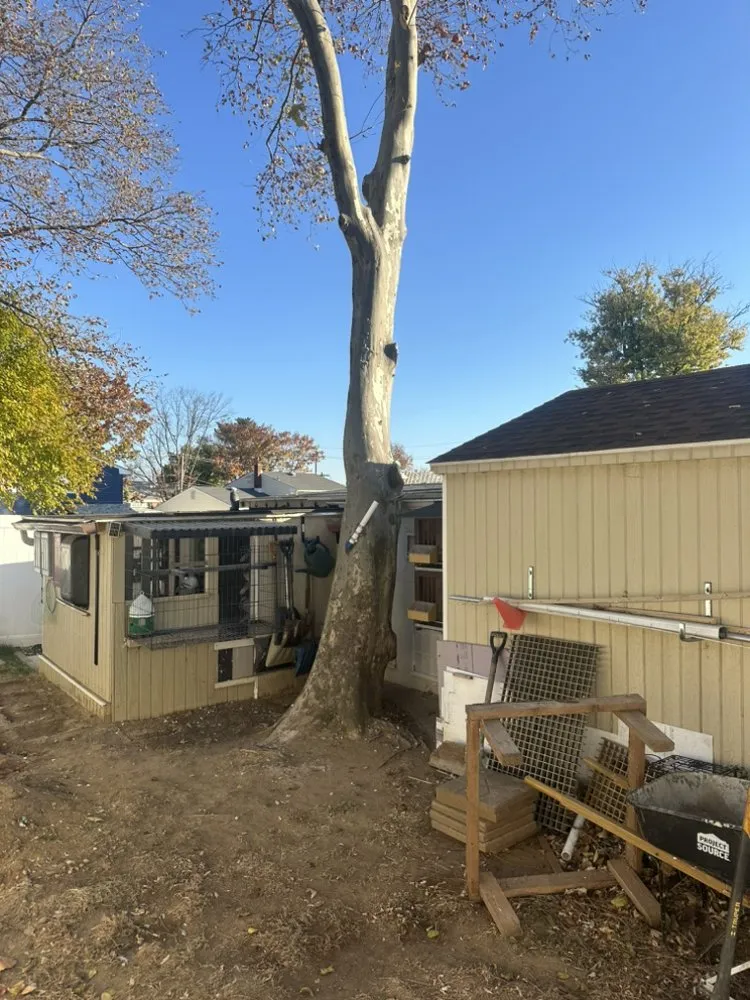 Custom lawn care service for residential properties across New Brunswick, NJ - Fresnos Landscaping & Tree Service