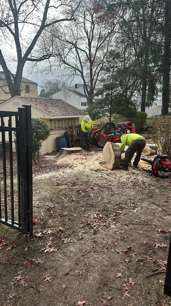 Local landscape design in New Brunswick, NJ by Fresnos Landscaping & Tree Service