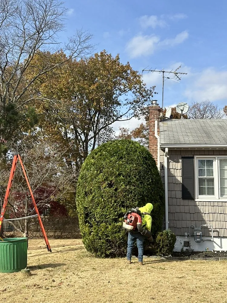 Professional landscape design experts serving New Brunswick, NJ - Fresnos Landscaping & Tree Service