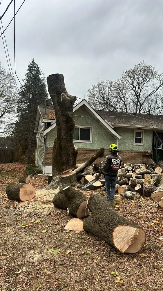 Local outdoor landscaping in New Brunswick, NJ by Fresnos Landscaping & Tree Service