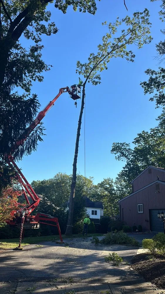 Expert landscape installation in New Brunswick, NJ by Fresnos Landscaping & Tree Service