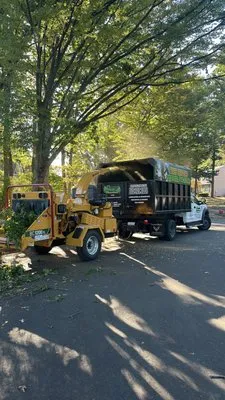 Fresnos Landscaping & Tree Service