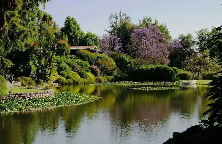 Reliable lawn care service in Victoria, MN - Frey Landscape Design