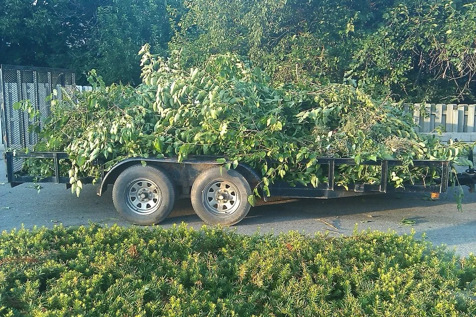 Custom outdoor landscaping experts serving Madison, IN - Frey Lawn Care
