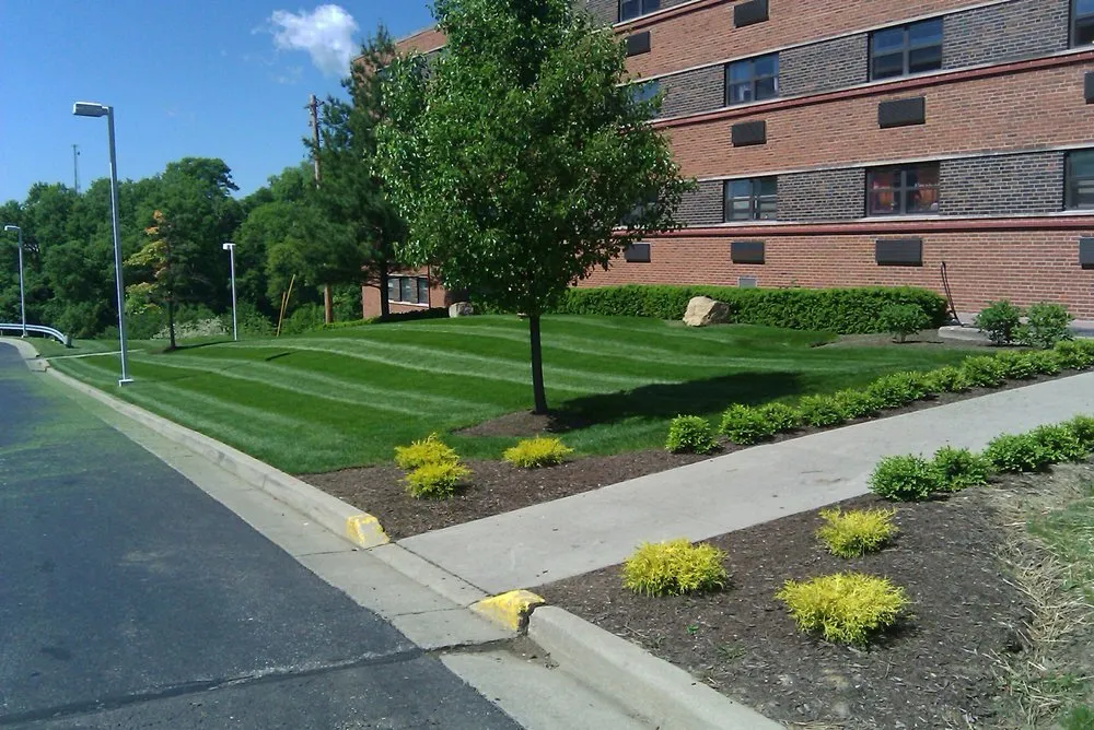Top-rated lawn mowing service experts serving Madison, IN - Frey Lawn Care