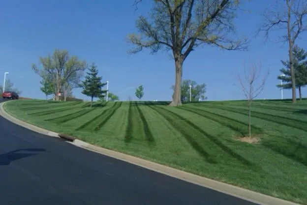 Expert lawn mowing service for beautiful yards across Madison, IN - Frey Lawn Care