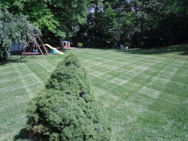 Expert landscaping services in Madison, IN by Frey Lawn Care