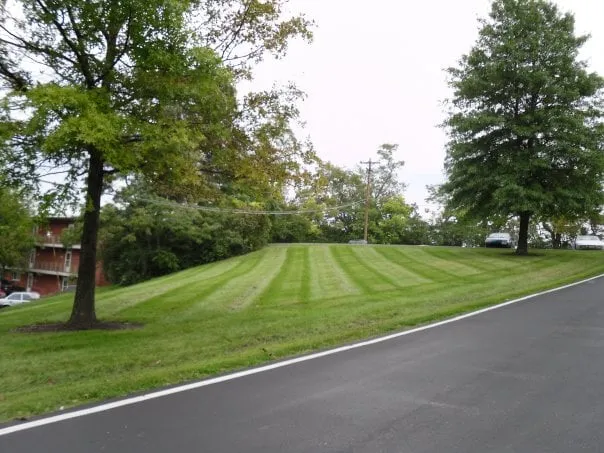 Reliable yard cleanup service experts serving Madison, IN - Frey Lawn Care